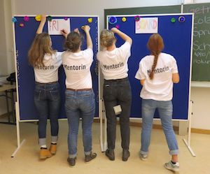 Party 2018 Mentorin Board