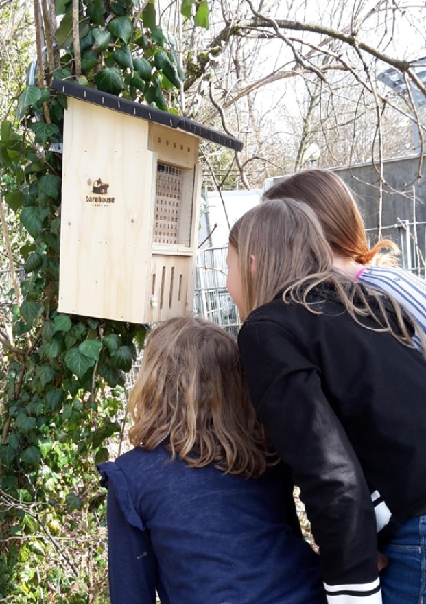 waldbienen5