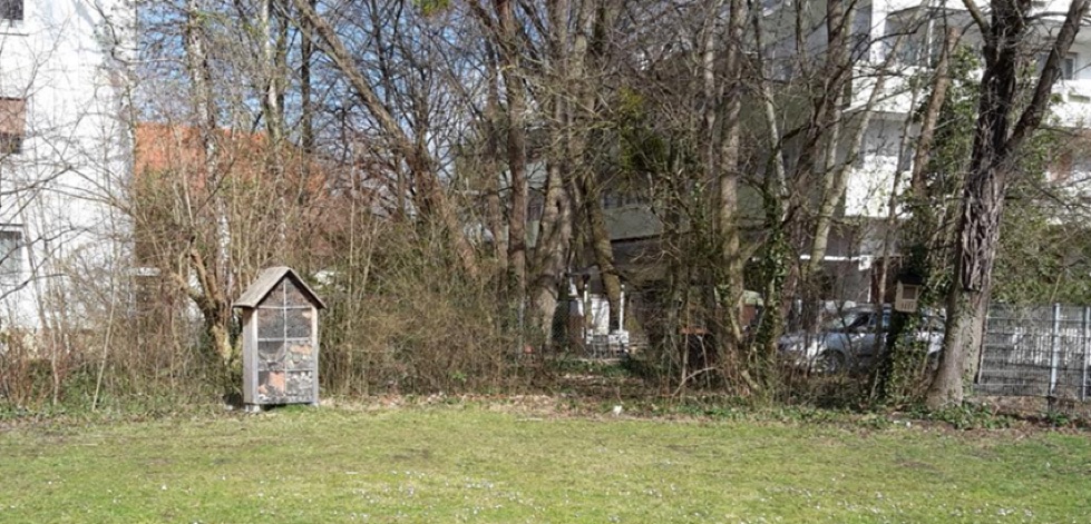 wildbienen1