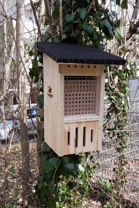 wildbienen2