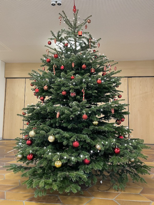 weihnachtsbaum