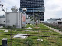 IMG_20240516_135356
