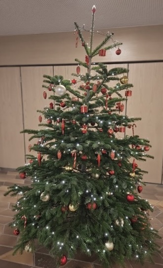 weihnachtsbaum